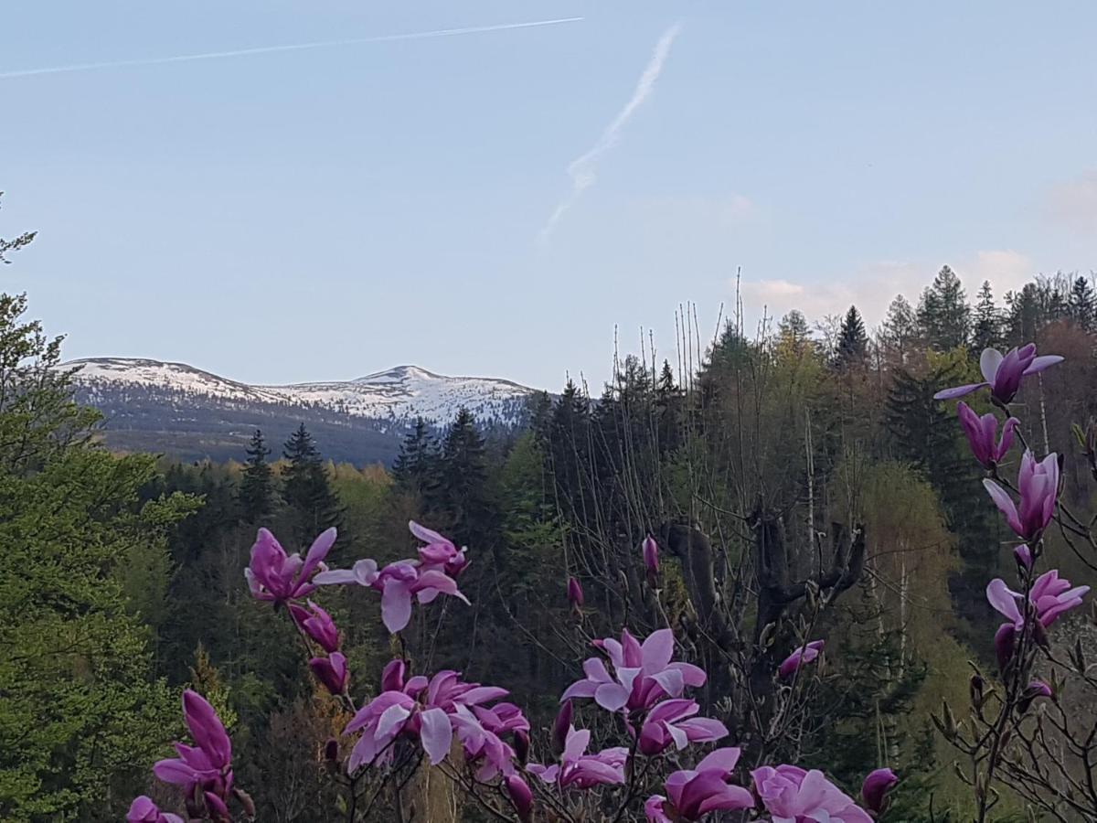 Skaly Spaly Пшесєка Екстер'єр фото